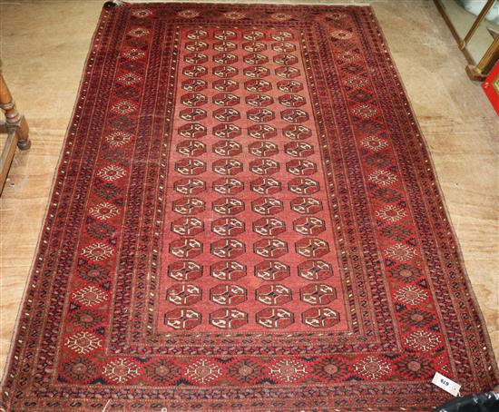 Bokhara rug(-)